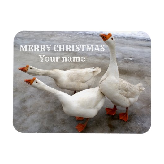 Geese wit magneet (Horizontaal)