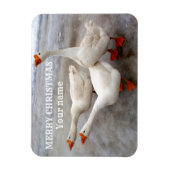 Geese wit magneet (Verticaal)