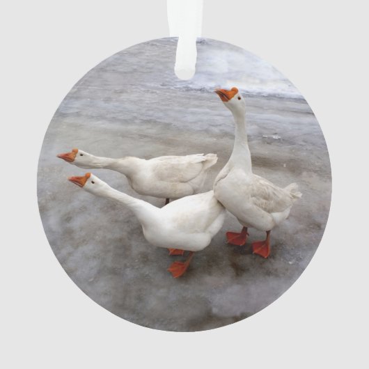 Geese wit ornament (achterkant)