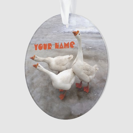 Geese wit ornament (voorkant)