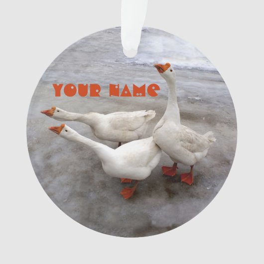 Geese wit ornament (voorkant)