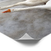 Geese wit poster (Hoek)