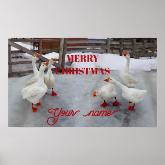 Geese wit poster (Voorkant)