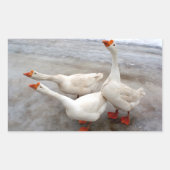 Geese wit rechthoekige sticker (Voorkant)
