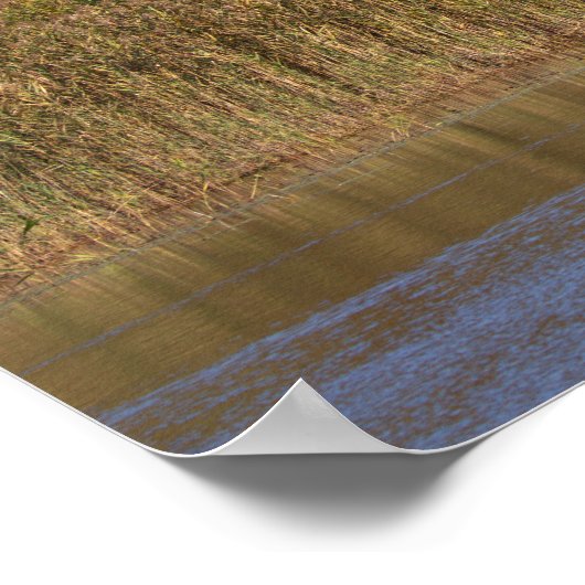 Geese with Autumn Trees Poster (Hoek)