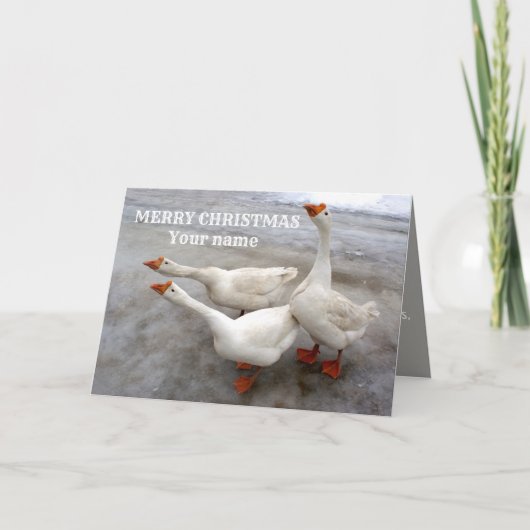 Geese witte kaart (Voorkant)