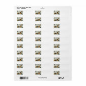 Geest Kraai Jack O Lantern Pompoen Zwarte Kat Etiket (Full Sheet)