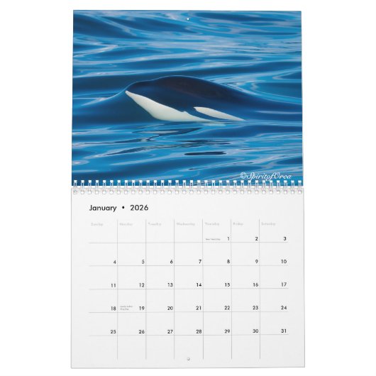 Geest Orca Killer Whales Calendar Kalender (Jan 2026)