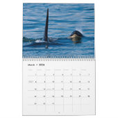 Geest Orca Killer Whales Calendar Kalender (Mar 2026)