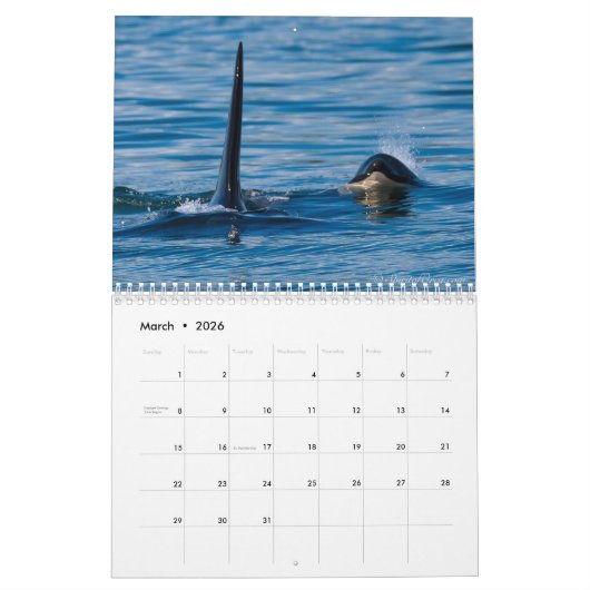 Geest Orca Killer Whales Calendar Kalender (Mar 2026)