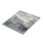 Geest Paard Mooie Kunst Tegeltje (Zijkant)