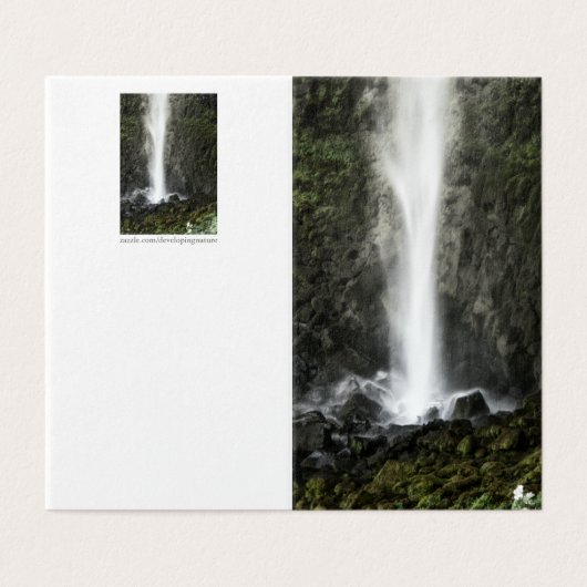 Geest van de Basin Kaart (Buitenkant ongevouwen)