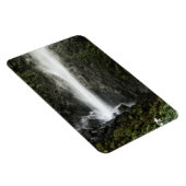 Geest van de Basin Magneet (Rechterzijde)