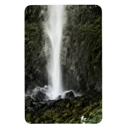 Geest van de Basin Magneet (Verticaal)