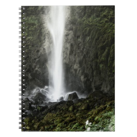 Geest van de Basin Notitieboek (Voorkant)