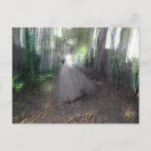 Geest van de Bossen Briefkaart (Voorkant)
