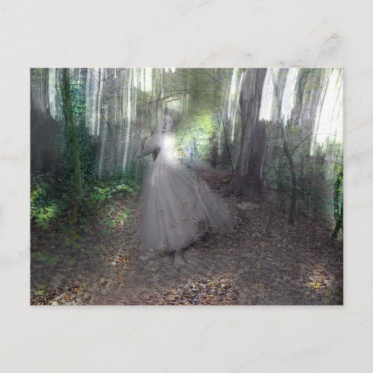 Geest van de Bossen Briefkaart (Voorkant)