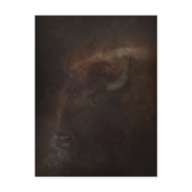 Geest van de Buffalo