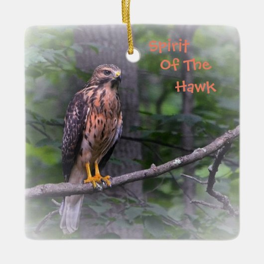 Geest van de Hawk Keramisch Ornament (Voorkant)