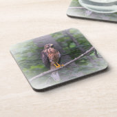 Geest van de Hawk Onderzetter (Linkerzijde)