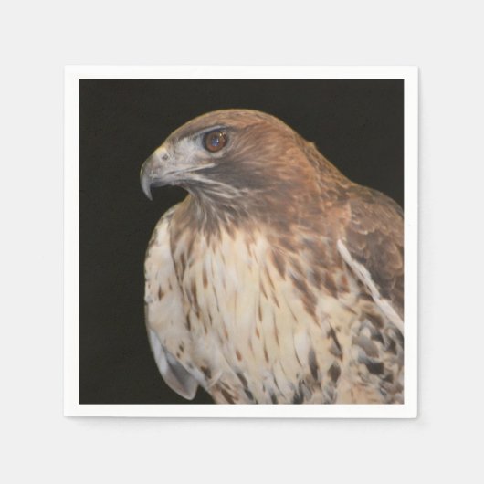 Geest van de Hawk Servetten (Voorkant)