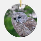 Geest van de hol keramisch ornament (Voorkant)