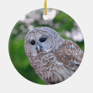 Geest van de hol keramisch ornament