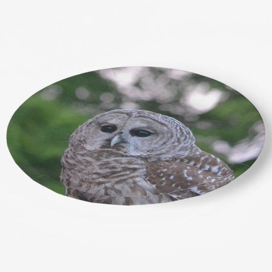 Geest van de hol papieren bordje (Gekanteld)