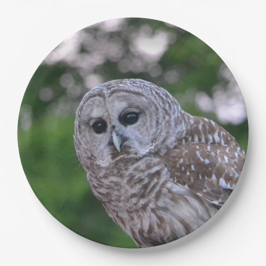 Geest van de hol papieren bordje (Voorkant)