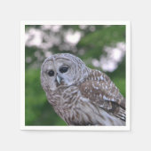 Geest van de hol servetten (Voorkant)