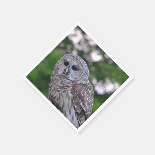 Geest van de hol servetten (Hoek)