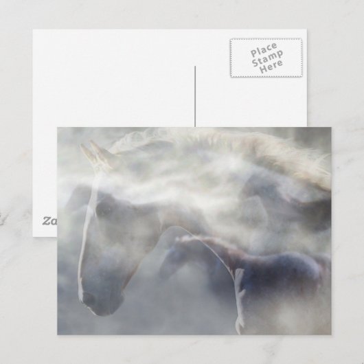 Geest van de Paard Briefkaart (Voorkant / Achterkant)