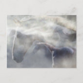 Geest van de Paard Briefkaart (Voorkant)