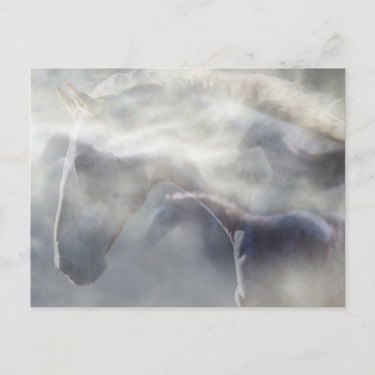 Geest van de Paard Briefkaart (Voorkant)