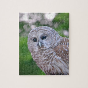 Geest Van De Uil Legpuzzel