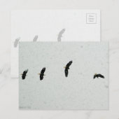 Geest van de vlucht briefkaart (Voorkant / Achterkant)