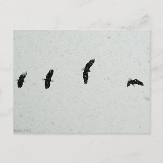 Geest van de vlucht briefkaart (Voorkant)