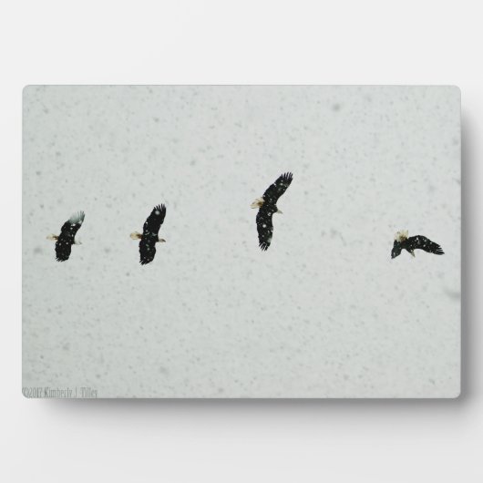 Geest van de vlucht fotoplaat (voorkant)