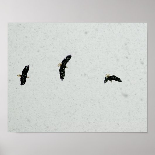 Geest van de vlucht poster (Voorkant)
