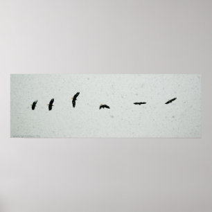 Geest van de vlucht poster