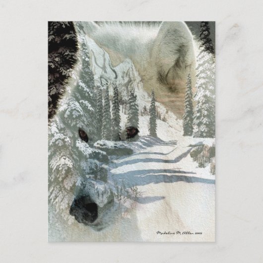 Geest van de wilde natuur briefkaart (Voorkant)