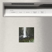 Geest van het Bekken Magneet (Insitu (Vaatwasser))