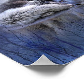 Geest van het blauw Poster/afdruk van de Fox Art Poster (Hoek)