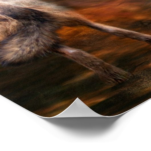 Geest van het Poster van de Kunst van de Wolf/Druk (Hoek)