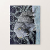 Geest van het Storm, puzzel (Verticaal)