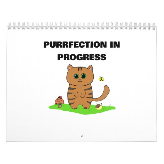 "Geestelijke momenten: een jaar van Kawaii-katten" Kalender (Hoes)