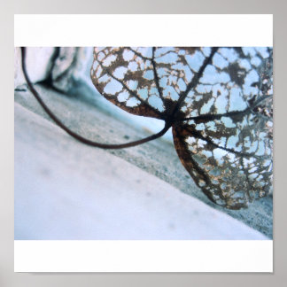 geesten van lente poster