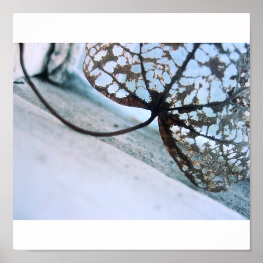 geesten van lente poster (Voorkant)