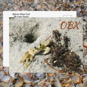 Geestkrab OBX NC Fotografisch Briefkaart