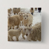 Geestkudde Vierkante Button 5,1 Cm (Voorkant)